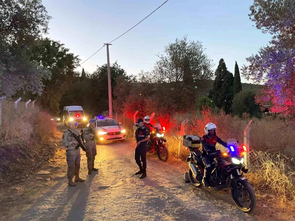 Aydın’da Jandarma İncir Hırsızlıklarına Karşı Denetim Yapıyor