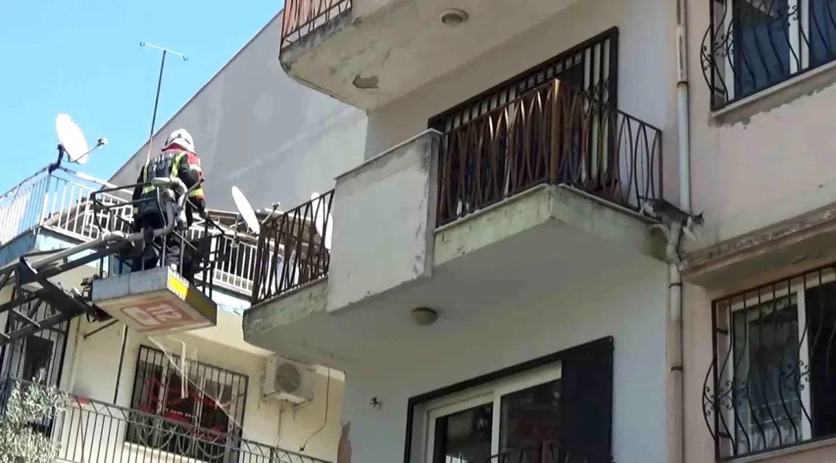 Aydın’da Mahsur Kalan Kedi, İtfaiye Ekiplerinin Gelmesini Beklemeden Kaçtı