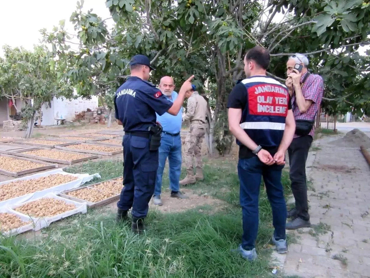 Germencik’te İncir Hırsızlıklarına Karşı Denetim