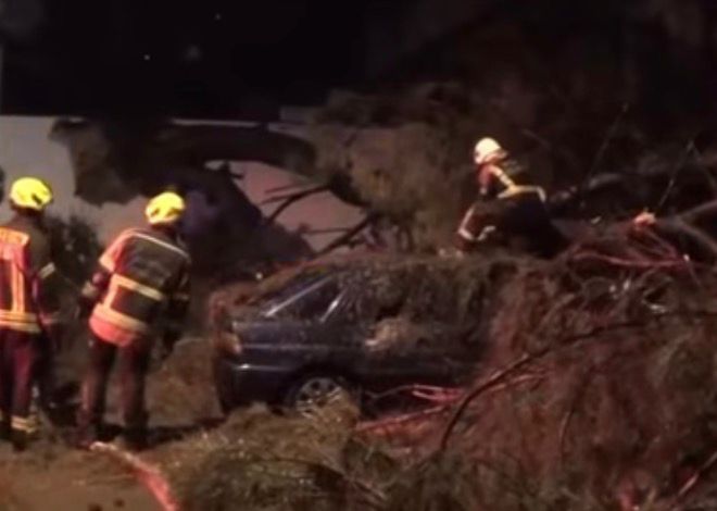 AYDIN’DA DEVRİLEN AĞAÇ İKİ KİŞİYİ YARALADI!!