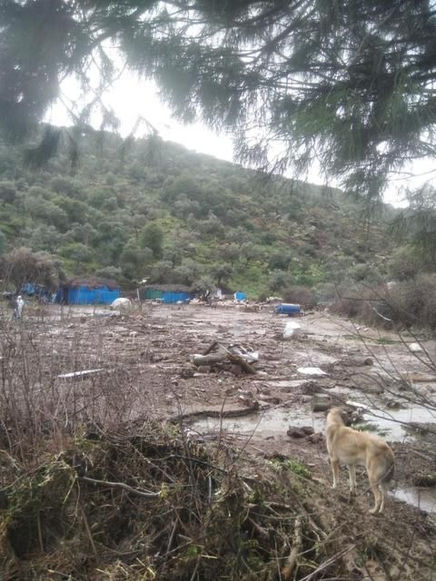 AYDIN’DA YAĞIŞ 46 KÜÇÜKBAŞ HAYVANIN CANINI ALDI!!