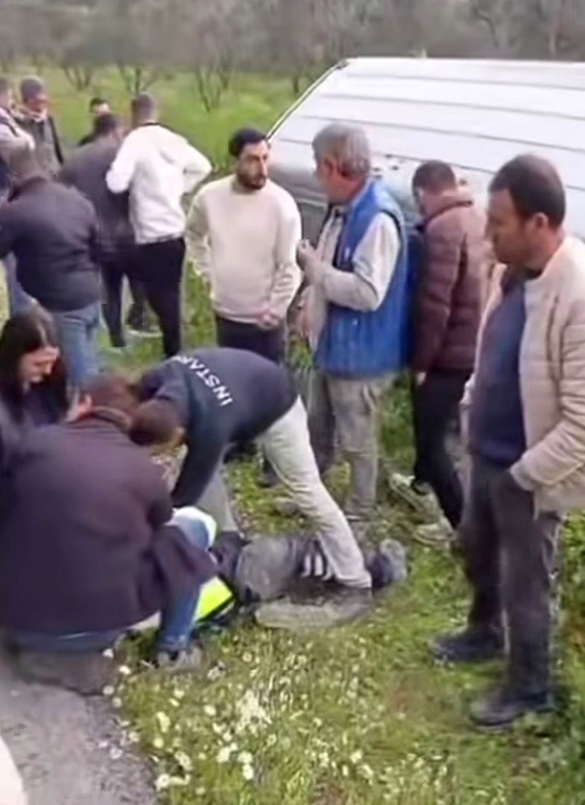 AYDIN’DA DOMUZA ÇARPMAMAK İÇİN ŞARAMPOLE YUVARLANDI!!